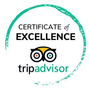 certificate of excellence logo 350x350 1